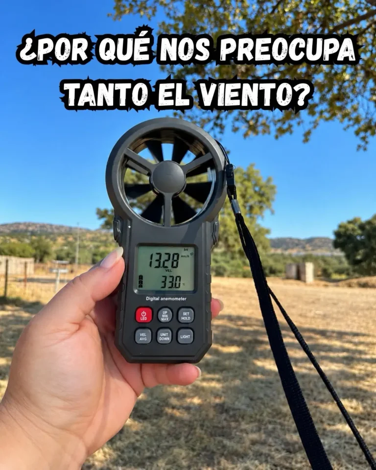 Seguridad de los hinchables con viento (1)